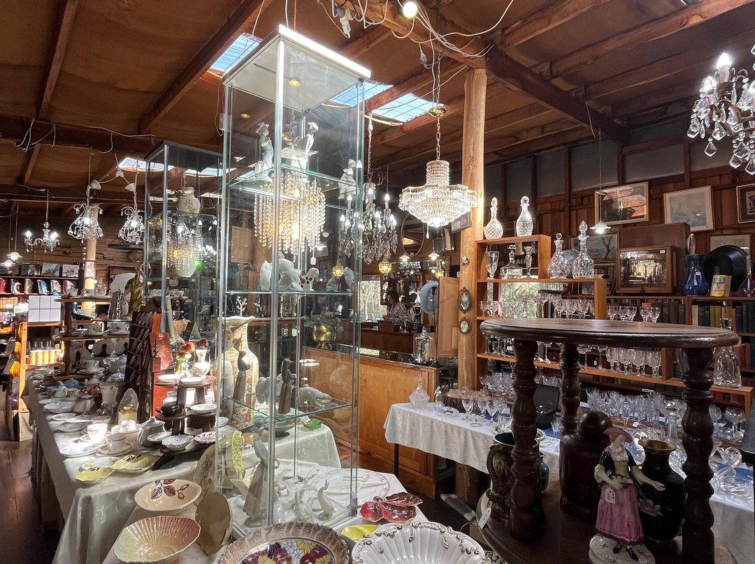 The Shop in the Bush-圣海伦火山必去景点