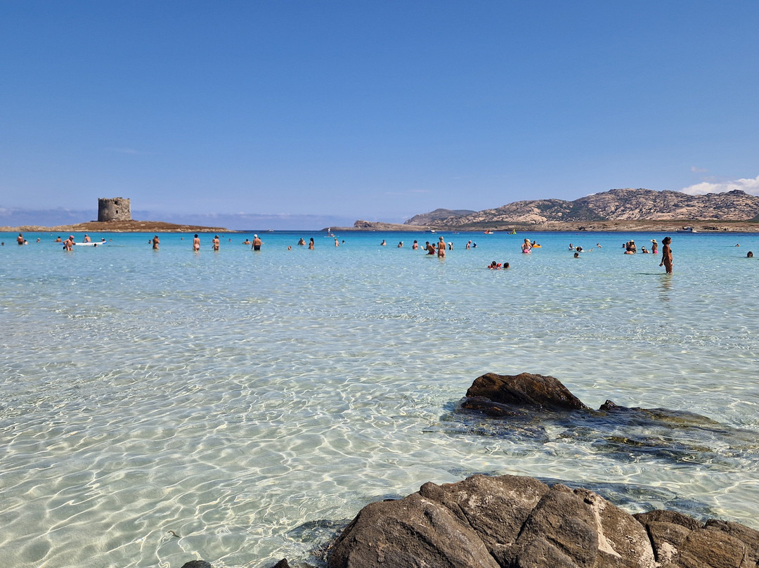 Cala Rosa Club Hotel主图