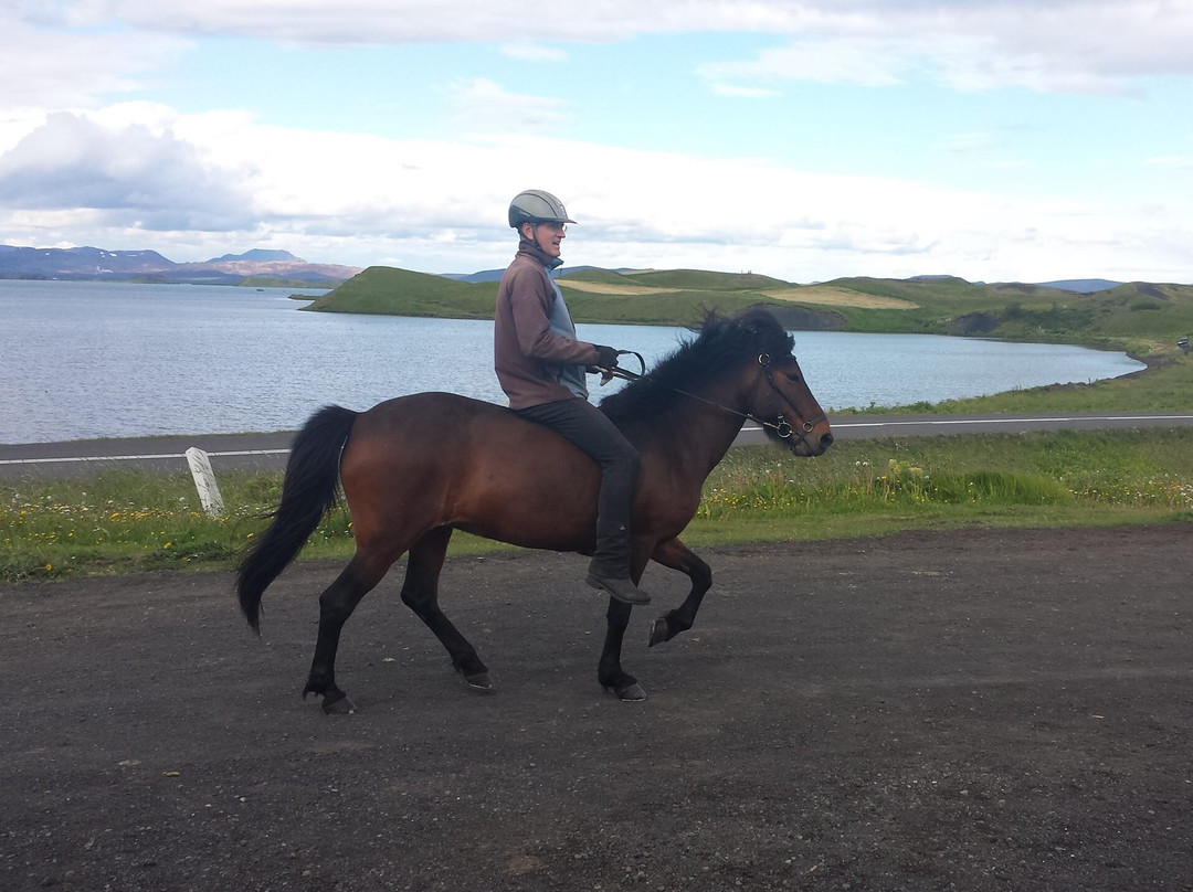 Safari Horse Rental-米湖必去景点