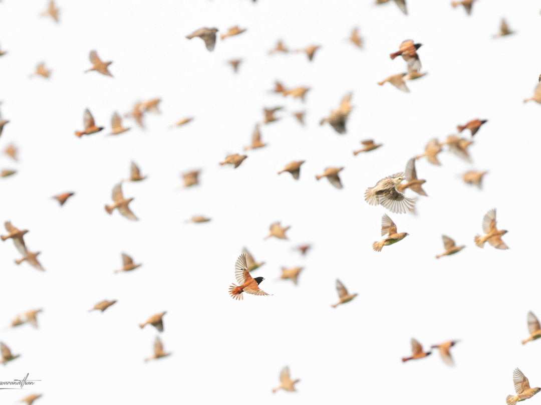 North Lanka Nature Trails-Kilinochchi必去景点