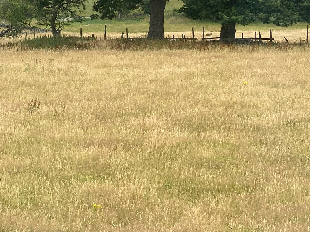 Chevin End Guest House主图