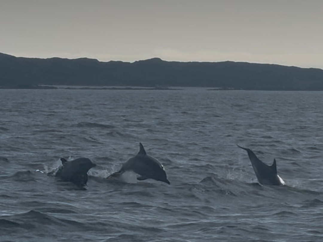 Staffa Trips-Isle of Iona必去景点