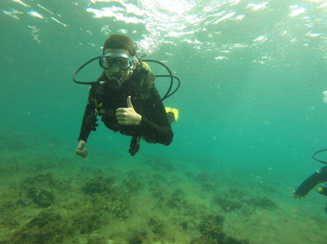 Dive Inn-Villaverde必去景点