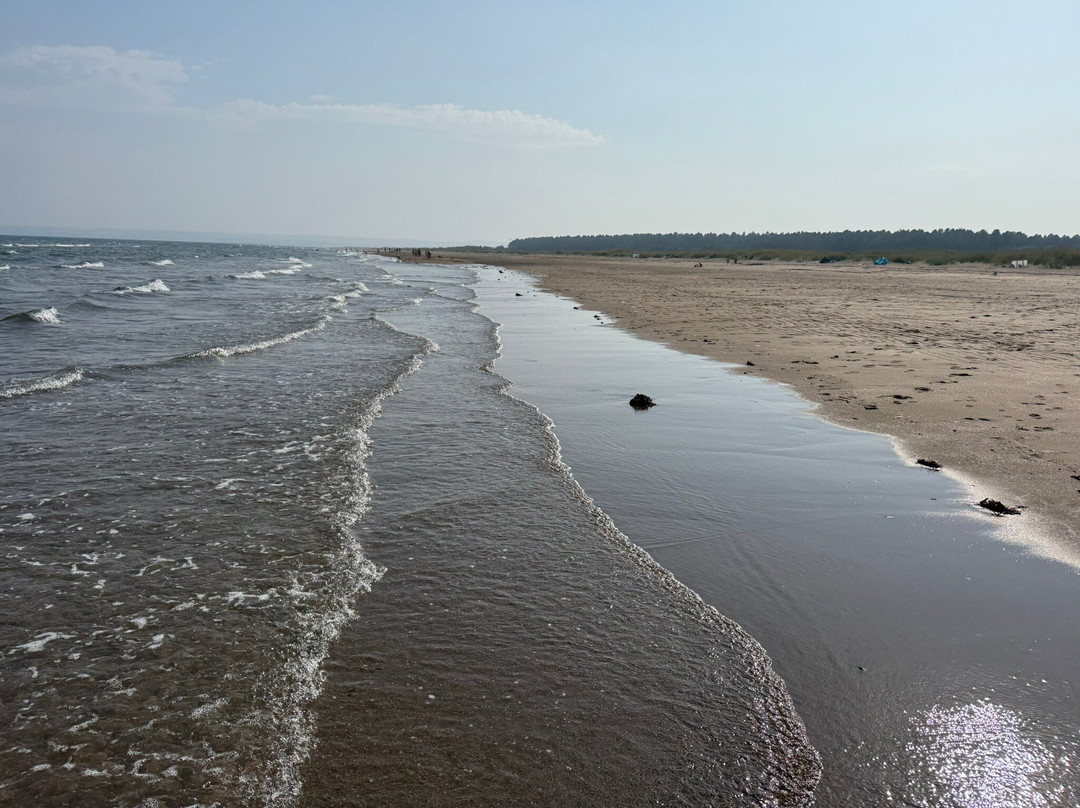 Tentsmuir Forest-Tayport必去景点