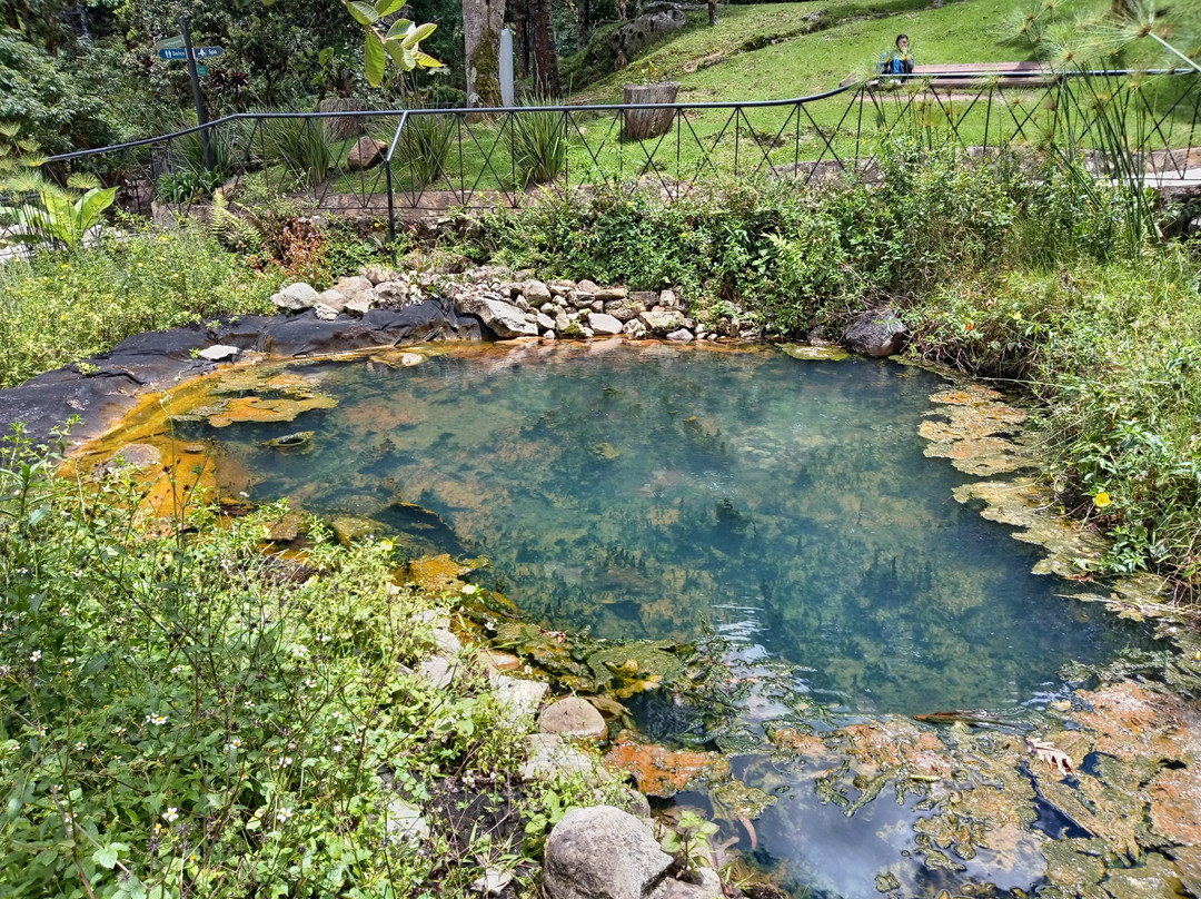 Termales Los Volcanes主图