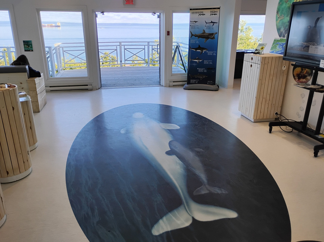 Marine Environment Discovery Centre-Les Escoumins必去景点