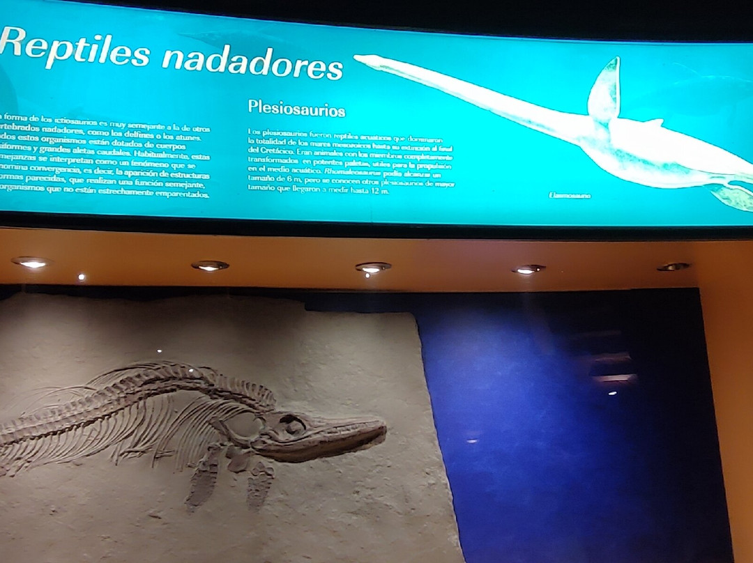 Museo del Jurásico de Asturias-Colunga必去景点