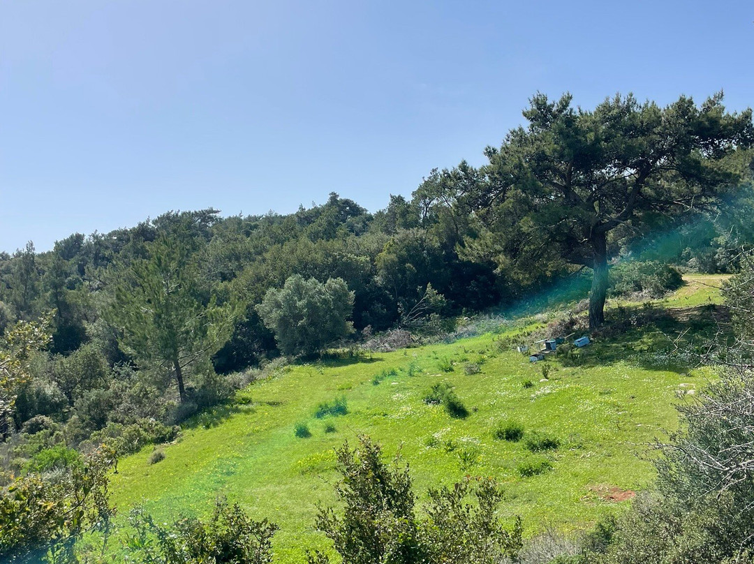 Exploreagn-Agios Nikolaos必去景点