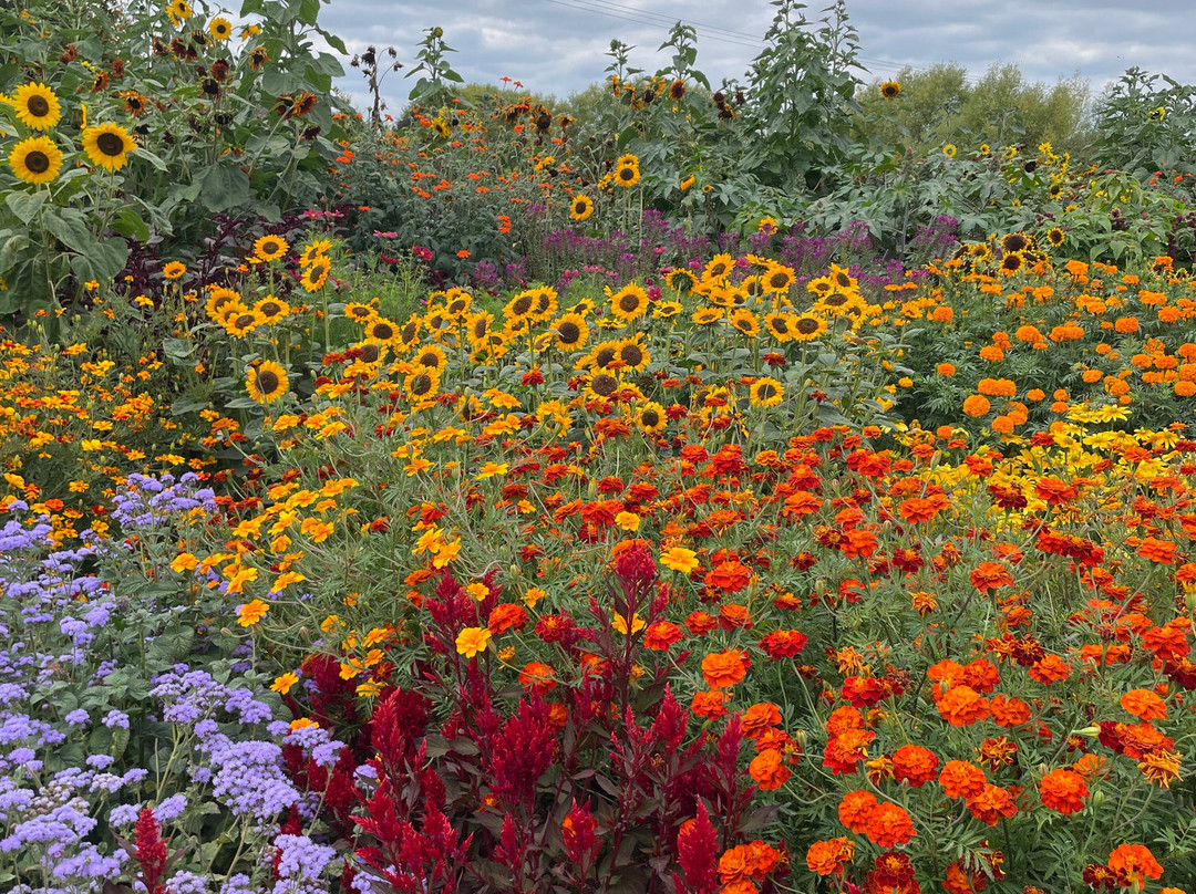Aston Pottery-Aston必去景点