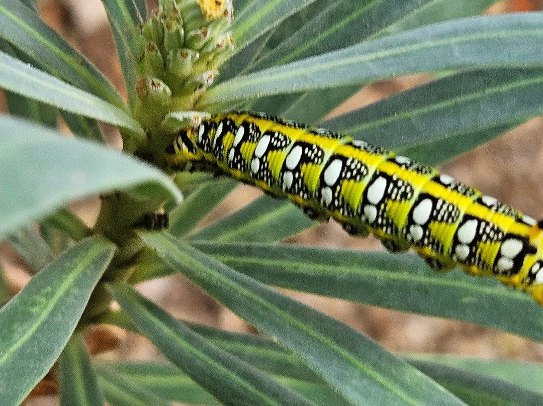 Gorges d'Heric-Mons必去景点