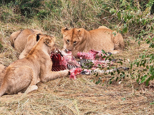 Guide Reagan-奈瓦夏必去景点