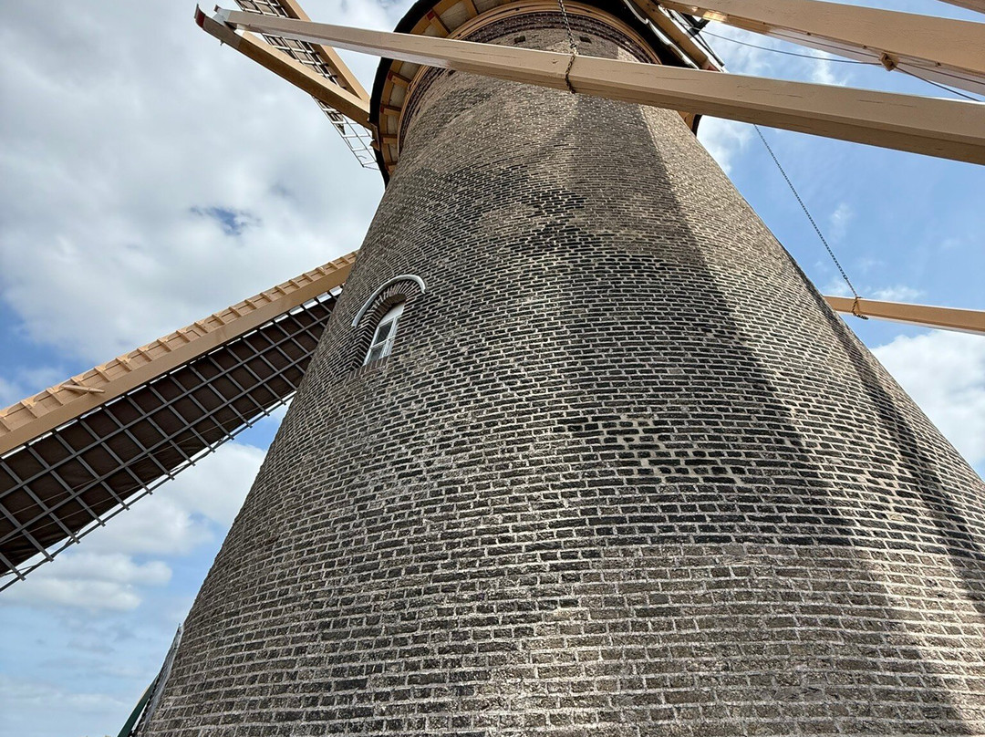 Molen De Roos-代尔夫特必去景点