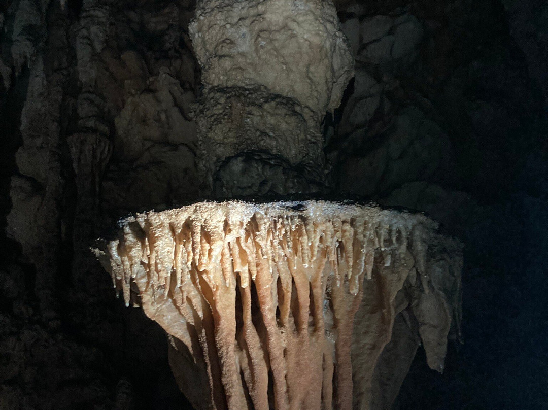 Modrič Cave-Rovanjska必去景点