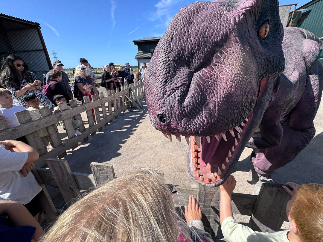 Farmer Teds Adventure Farm-Ormskirk必去景点