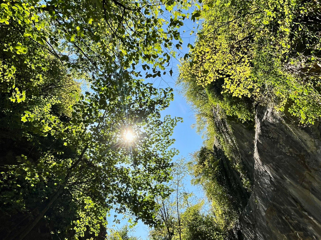 Blue Ocean Activities-卡迪夫必去景点