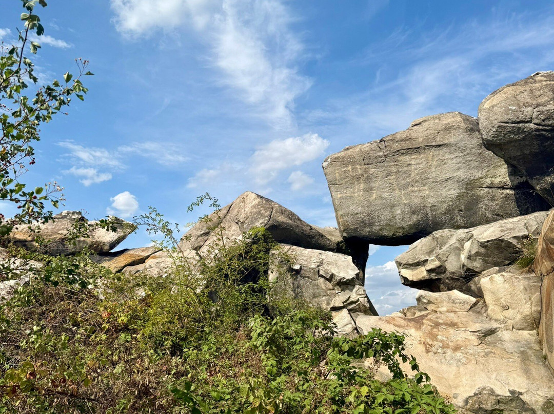 Teufelsmauer-Stieg-Thale必去景点