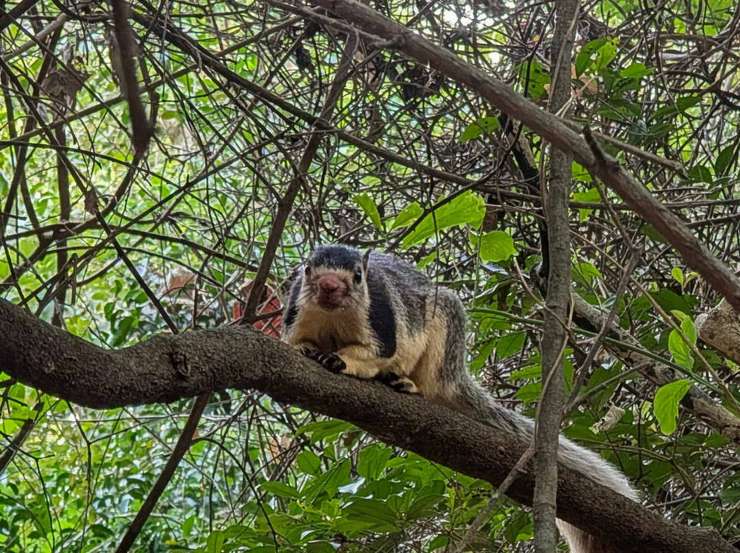 Go Holiday Tours-尼甘布必去景点