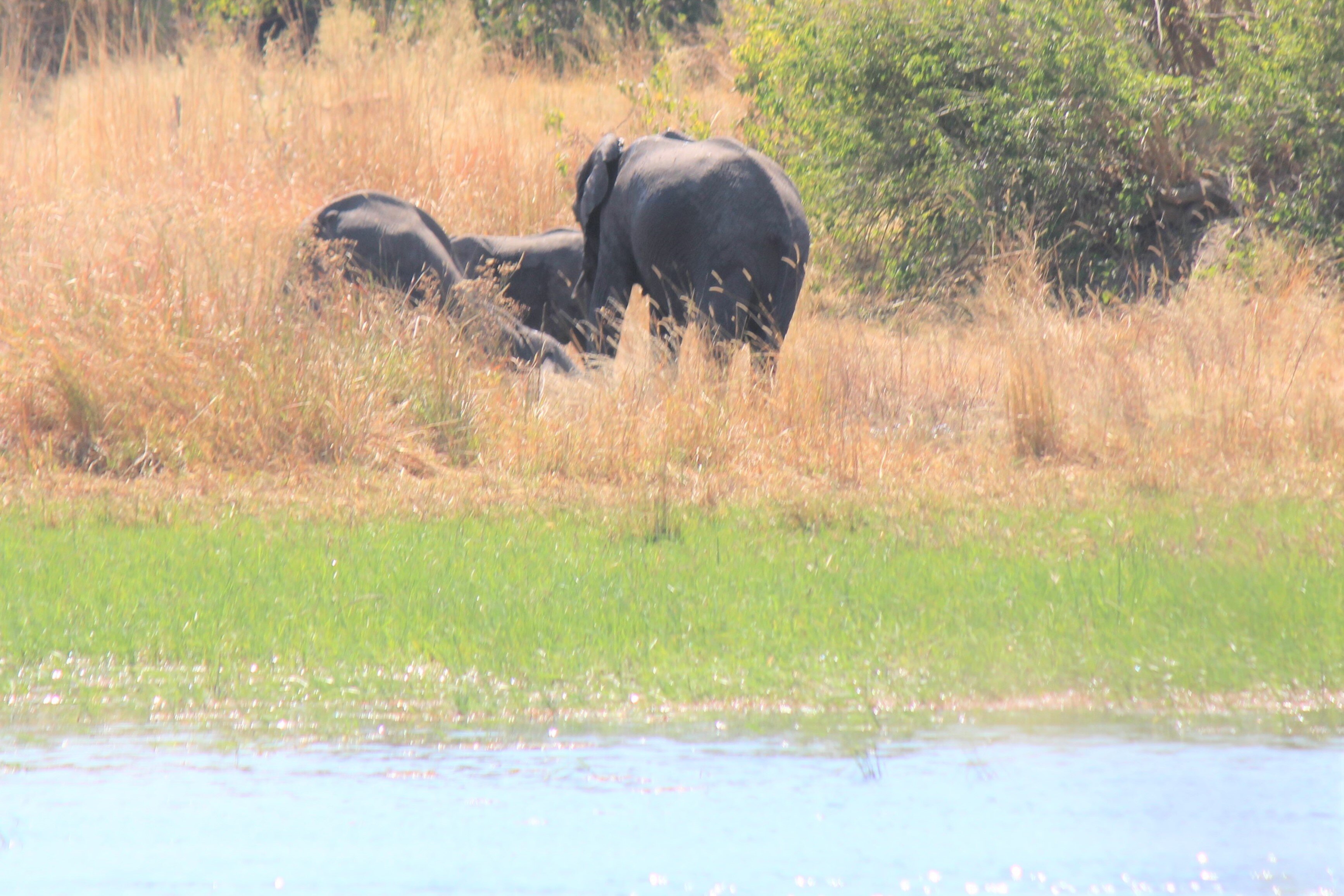 Oddballs' Camp-浴室