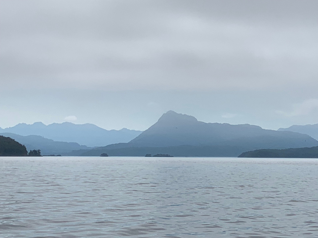 Vancouver Island Photo Tours-Port McNeill必去景点