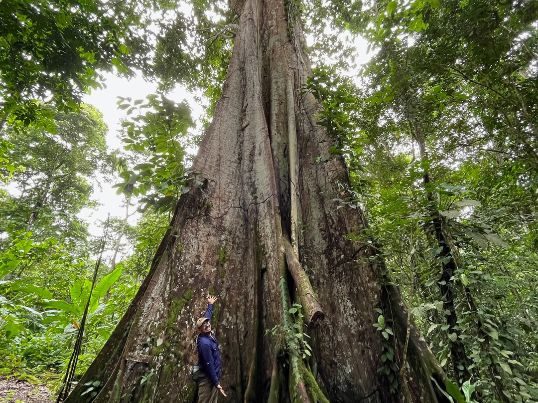 Tree Chocolate Tour-Upala必去景点
