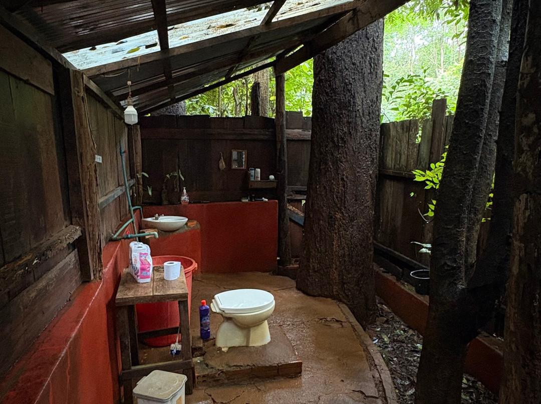 Elephant Valley Project-森莫诺隆必去景点