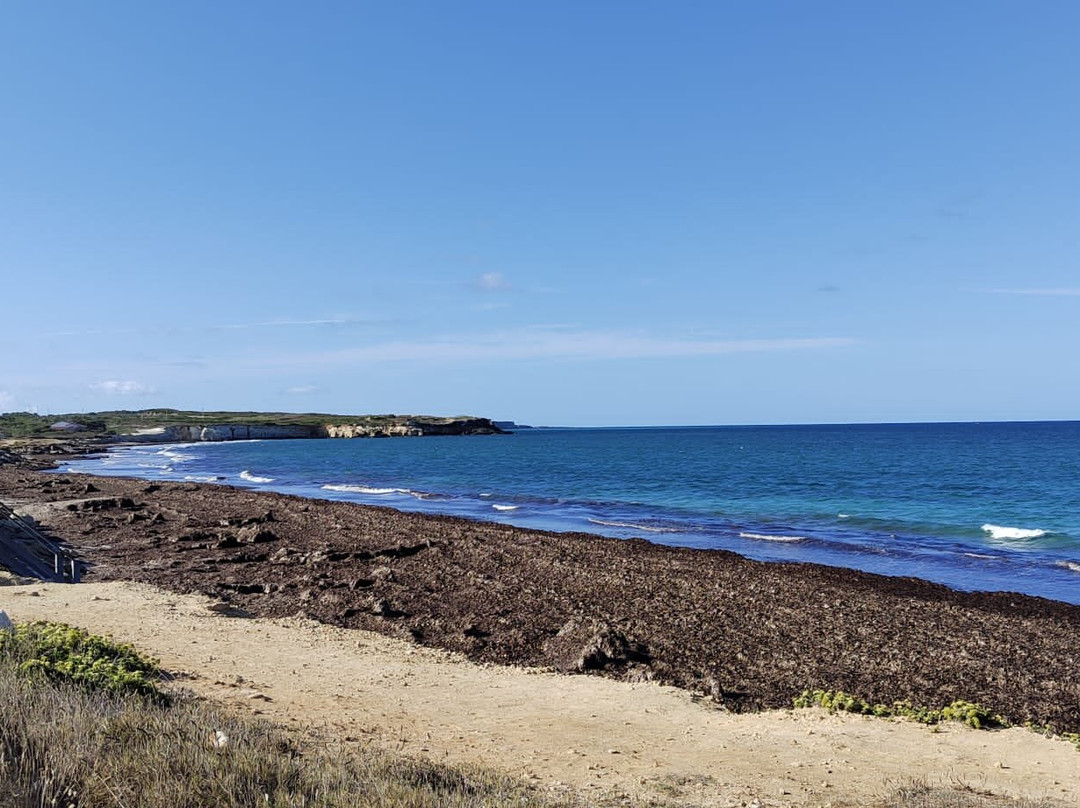 S'Arena Scoada Beach-San Vero Milis必去景点