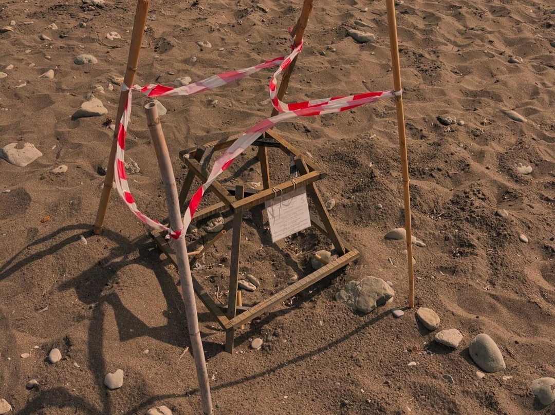 Dafni Beach-扎金索斯必去景点