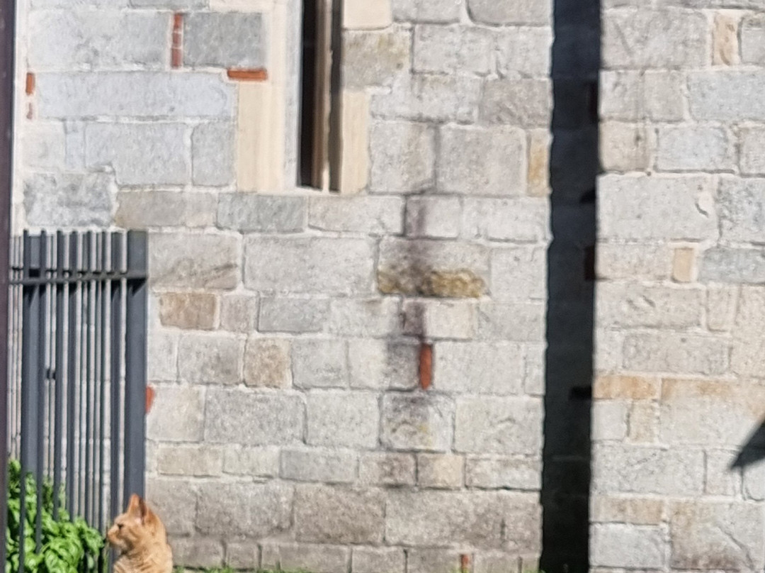 Complesso Battesimale Paleocristiano e Altomedievale di San Giovanni al Montorfano-Mergozzo必去景点