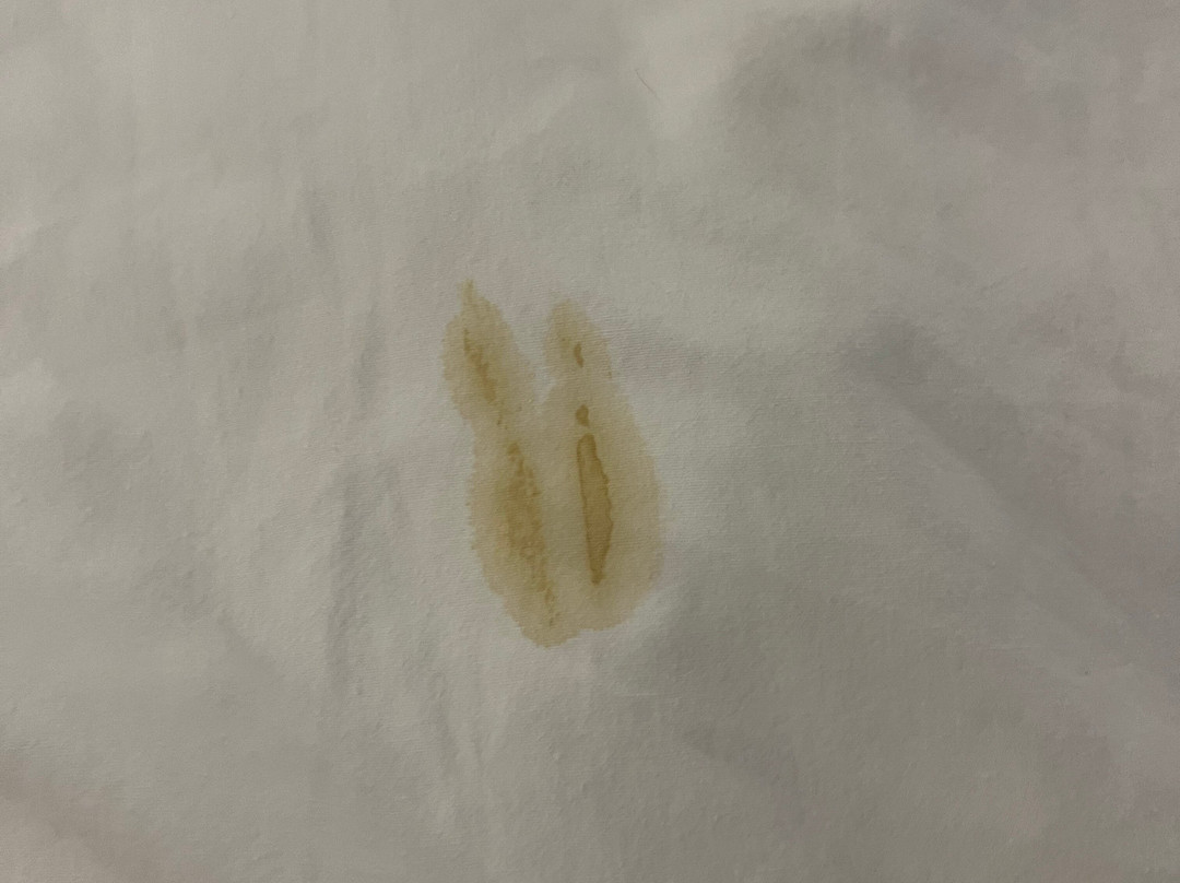 Pear Tree Inn Cape Girardeau Near the Medical Center主图