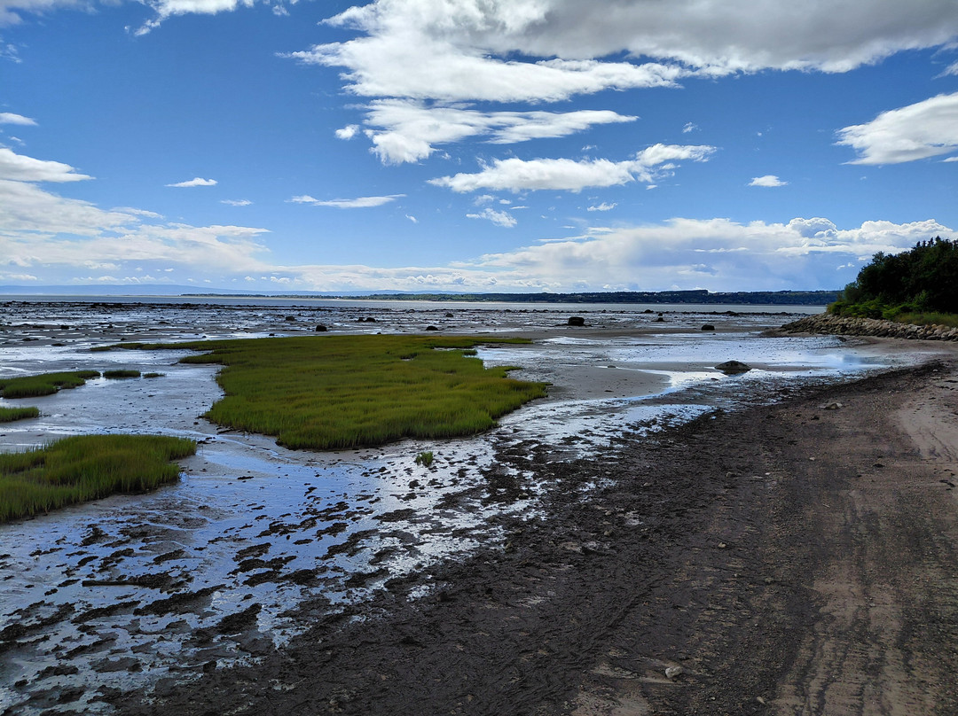 Charlevoix Maritime Museum (Le Musee Maritime de Charlevoix)-Saint-Joseph-de-la-Rive必去景点