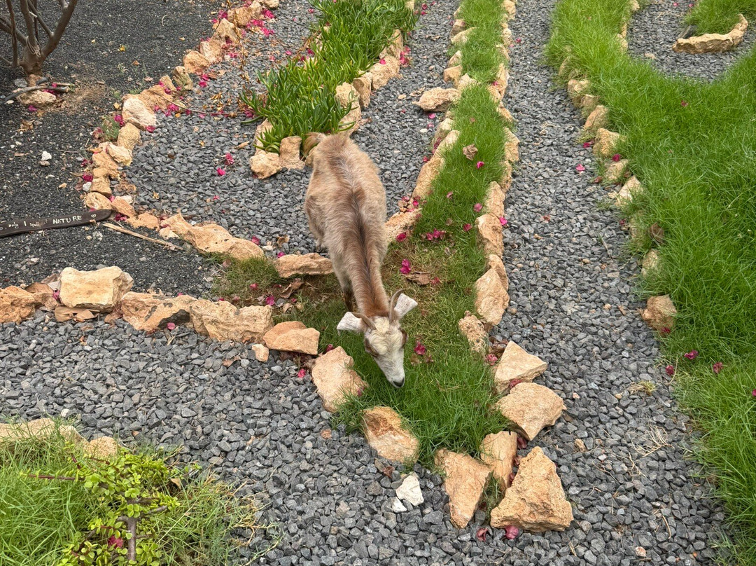 Viveiro, Botanical Garden & Zoo di Terra-圣塔玛丽亚必去景点