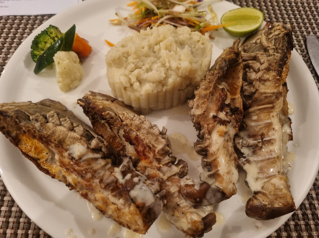 Spice Tree by Turaco主图