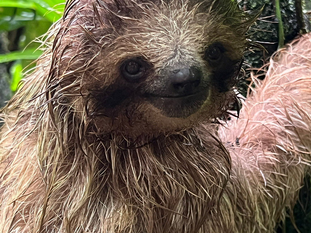 Royal Service Tours-利比里亚必去景点