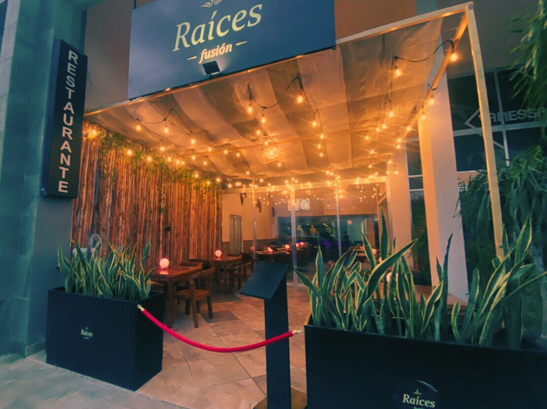 Raíces Fusión, Playa del Carmen