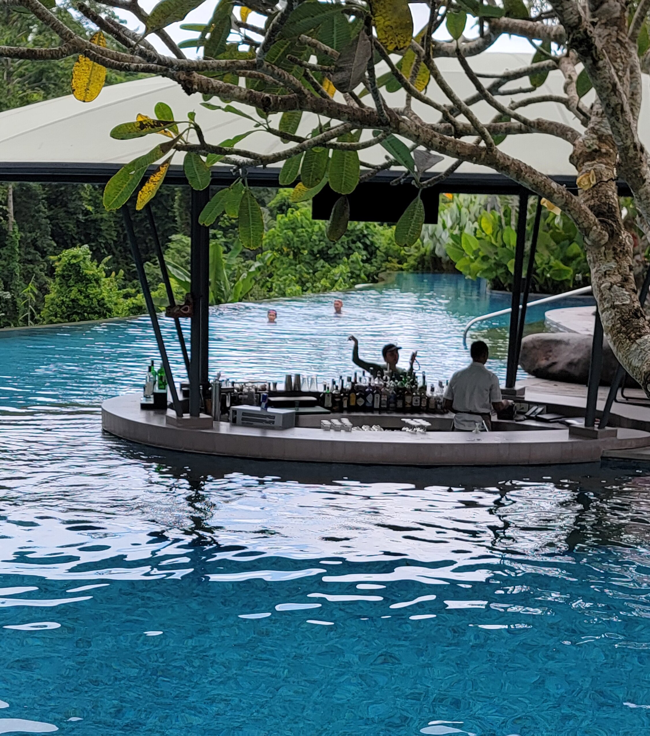 The Westin Resort & Spa Ubud, Bali-泳池