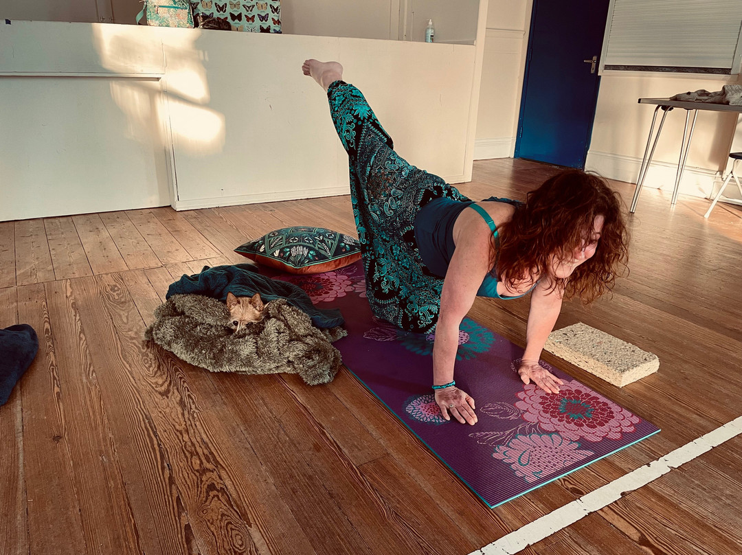 Yoga Loveliness-托基必去景点