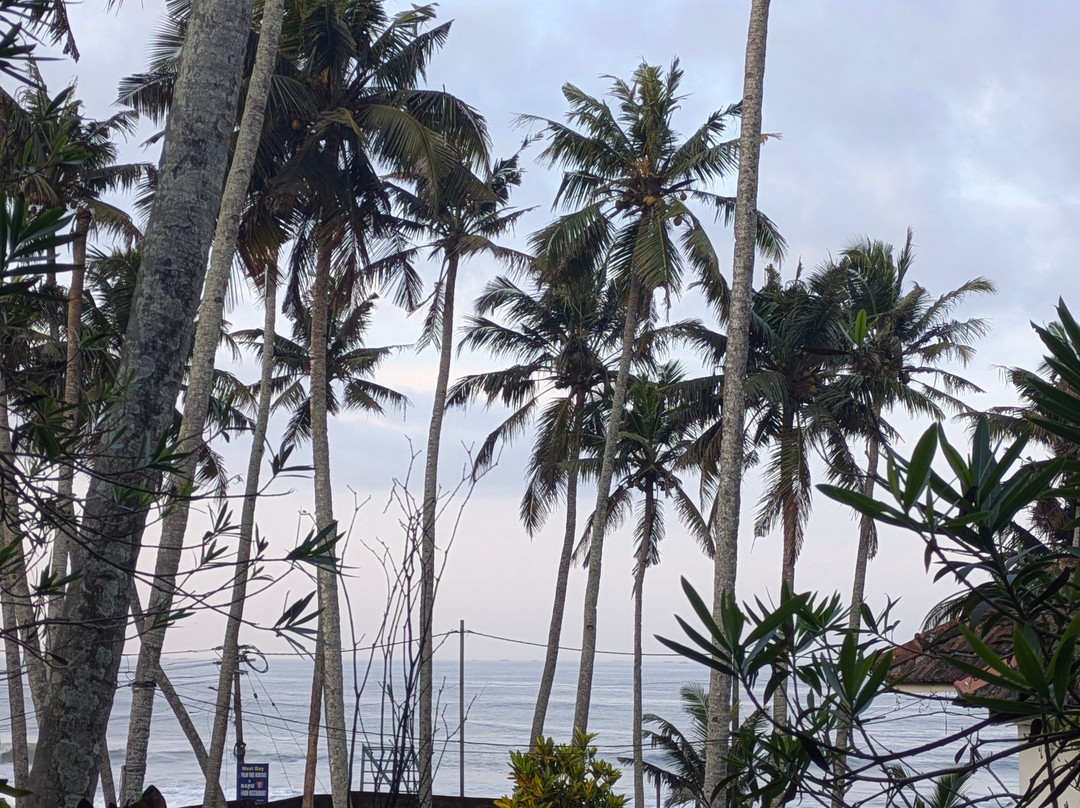 Magnolia Guesthouse Varkala主图