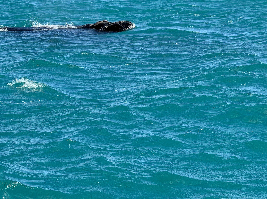 EP Cruises-Fowlers Bay必去景点