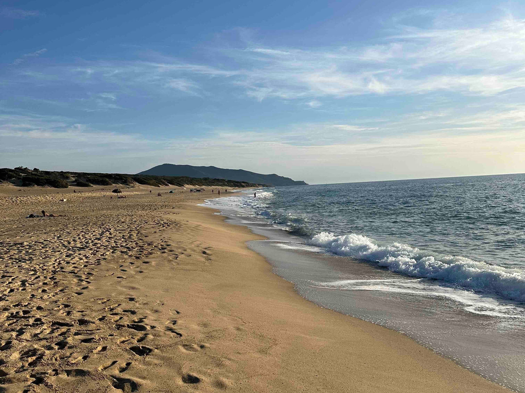 Hotel Le Dune Piscinas主图
