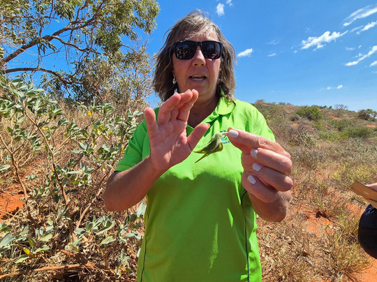 Broome and Around Bus Charters and Tours-布鲁姆必去景点