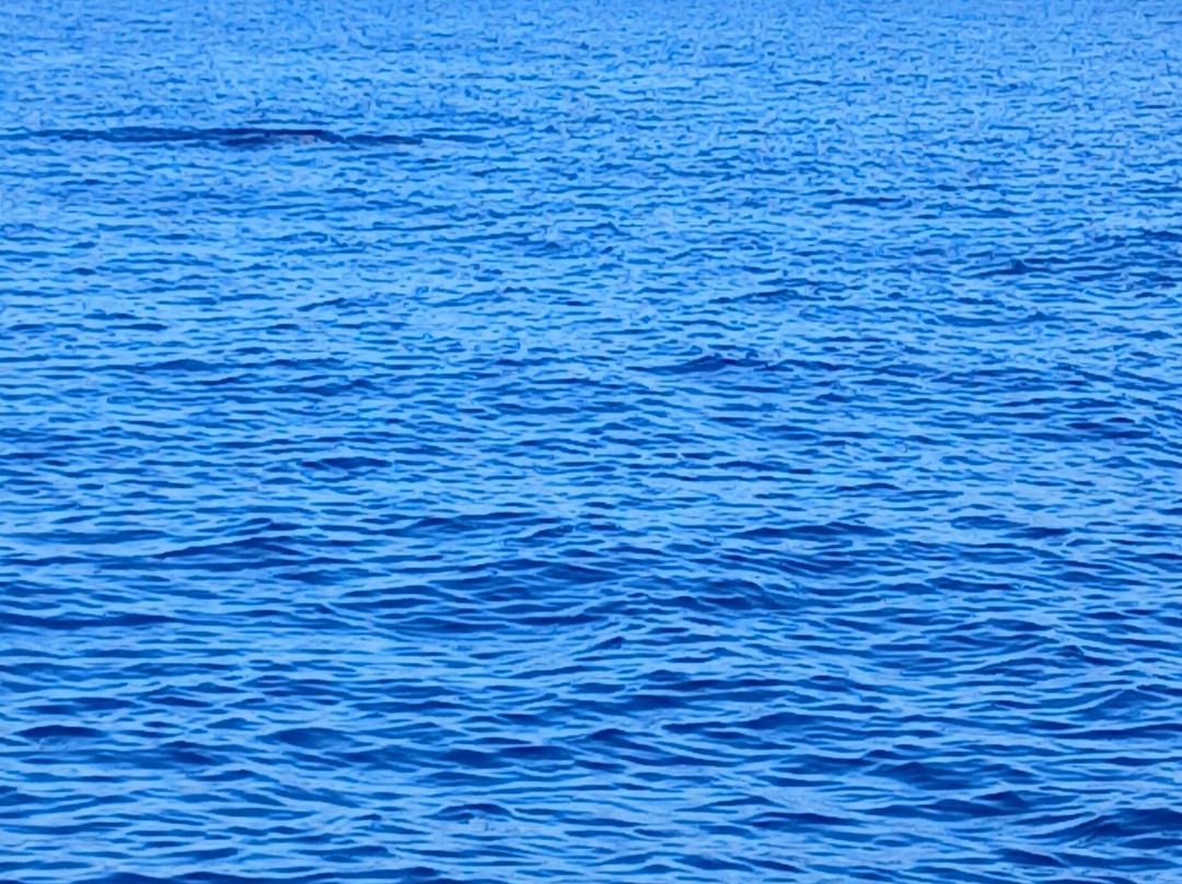 Balagne Aventures Corsica, promenades, excursions en bateau à Sant Ambroggio,en Balagne, en Corse-Lumio必去景点