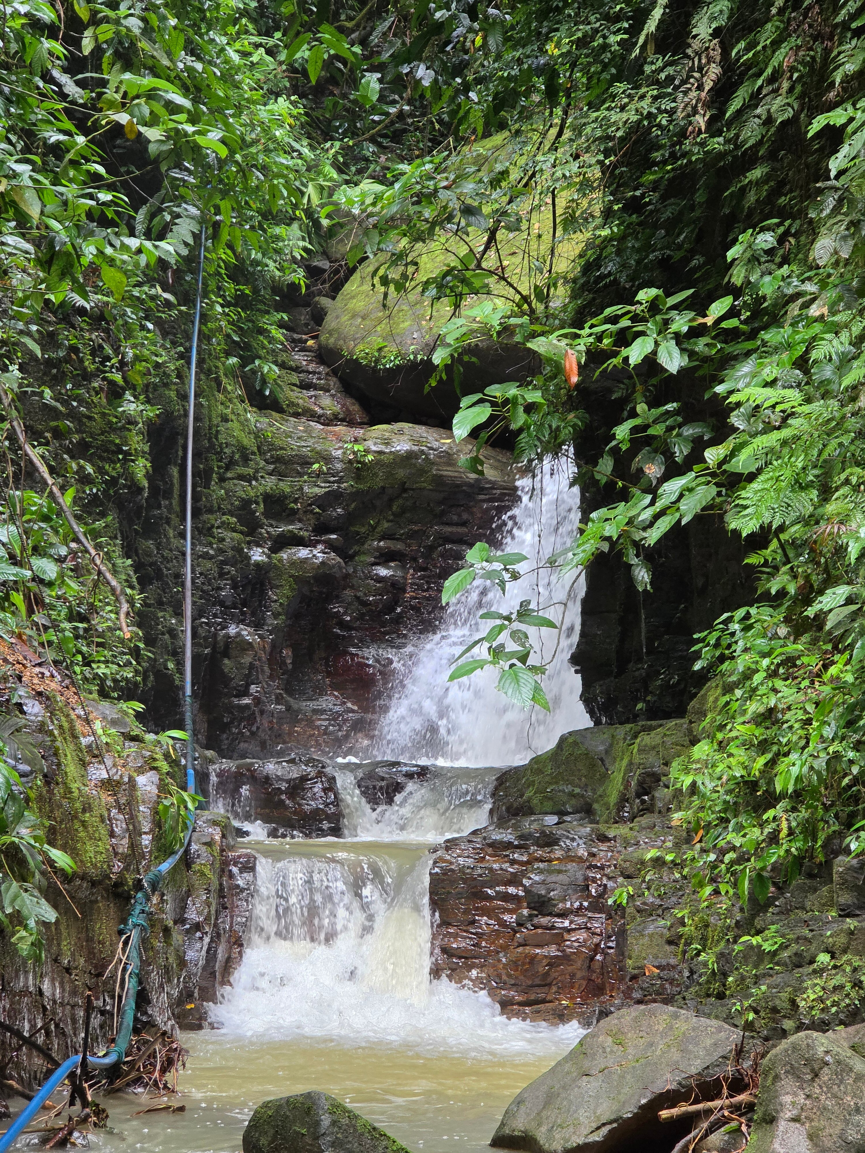 Oxygen Jungle Villas & Spa-浴室