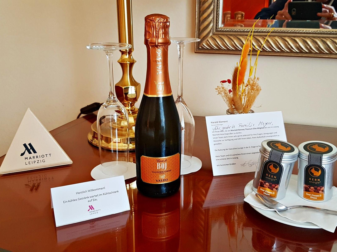 万豪度假酒店莱比锡城店主图