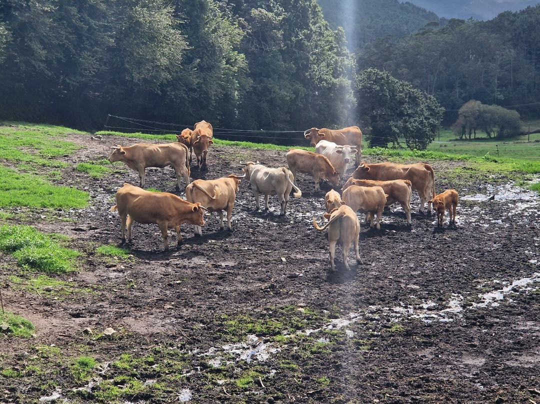 Casa Fontequeiroso主图