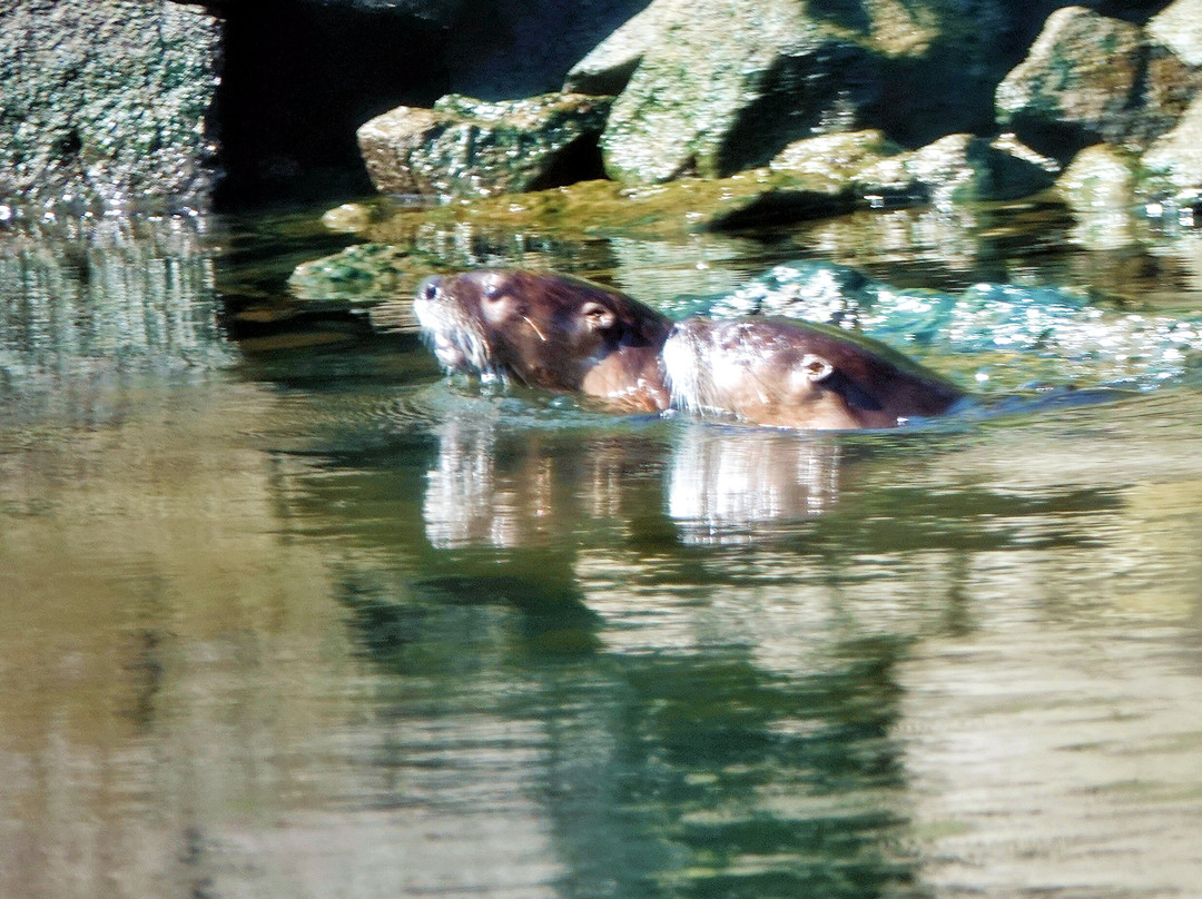Beamers Hells Canyon Tours-Clarkston必去景点