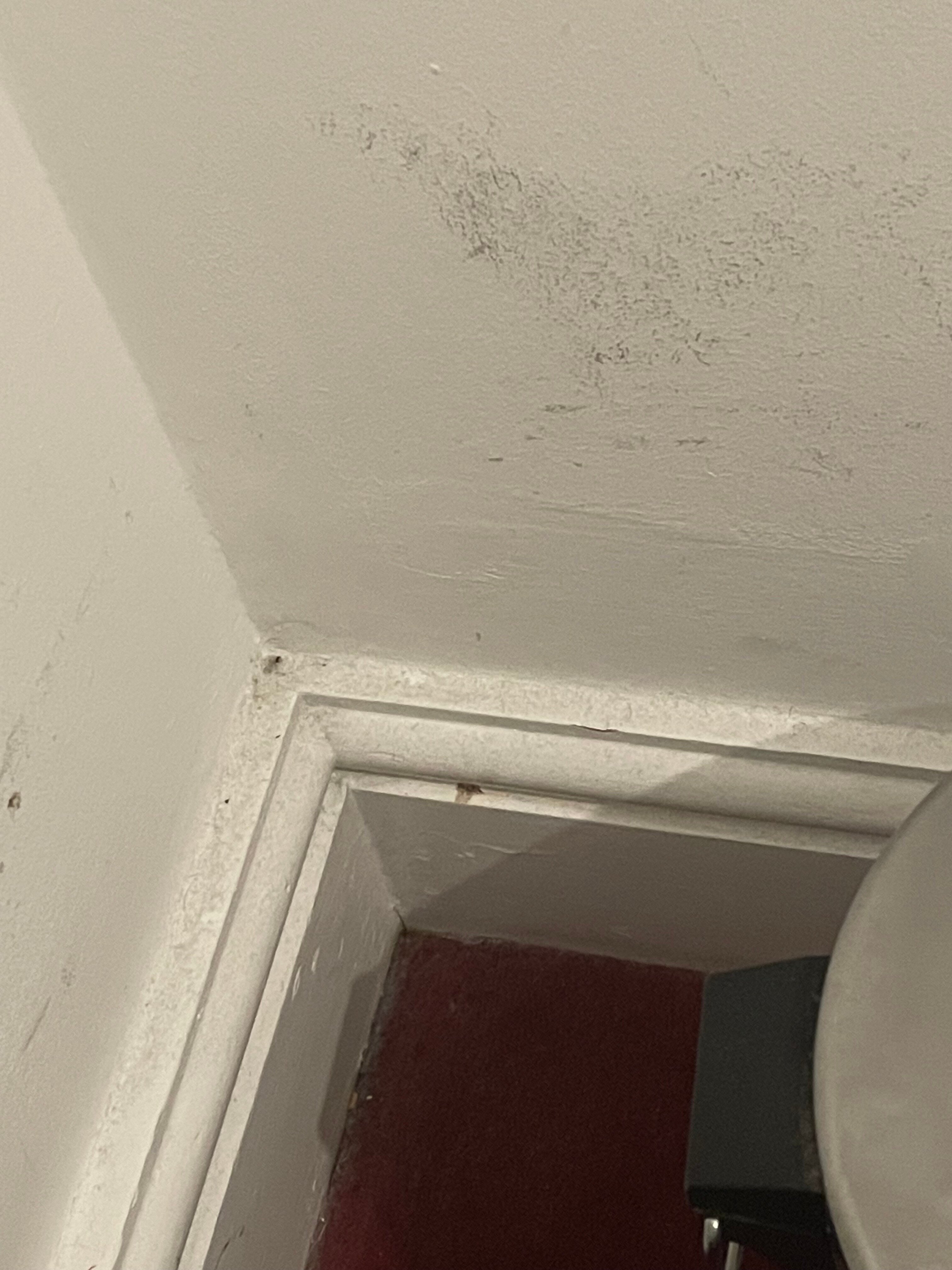 圣乔治酒店-客卧