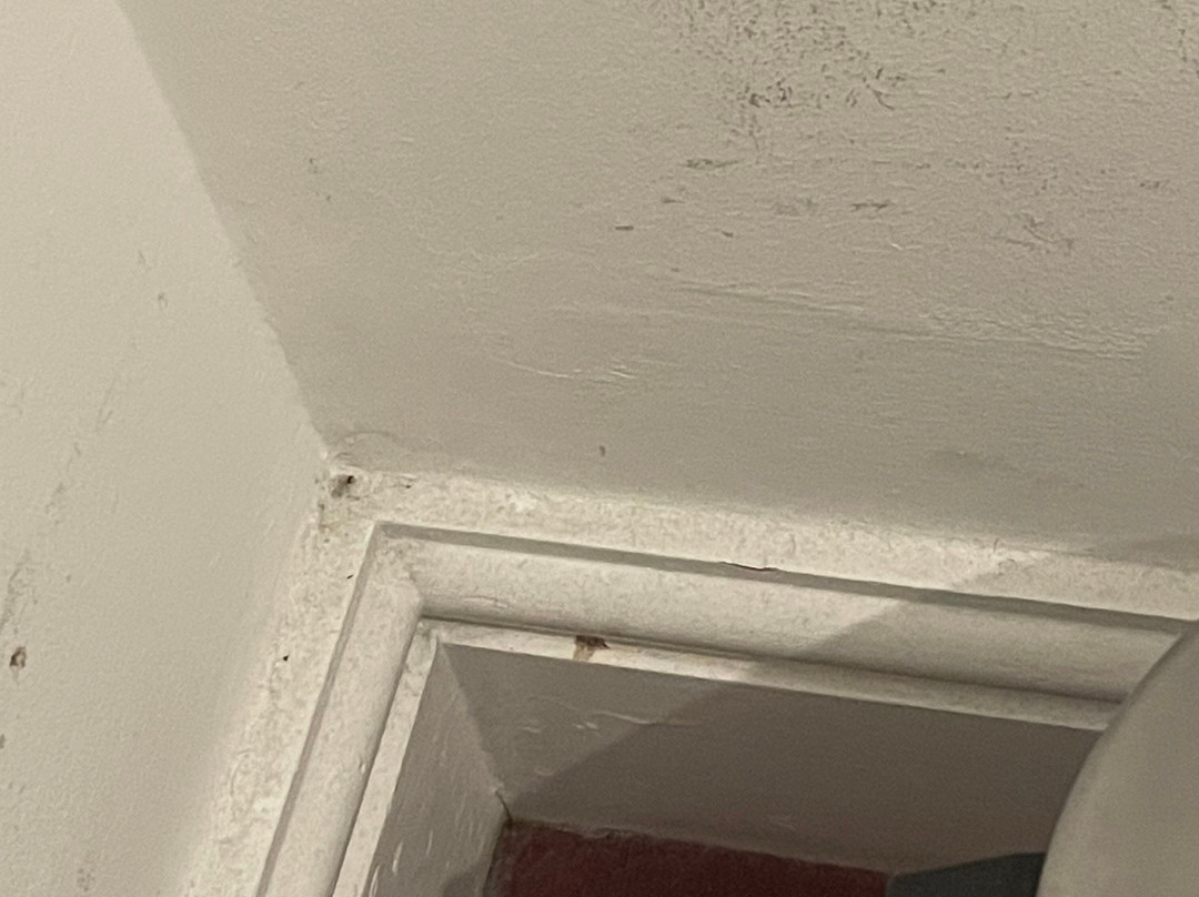 圣乔治酒店主图