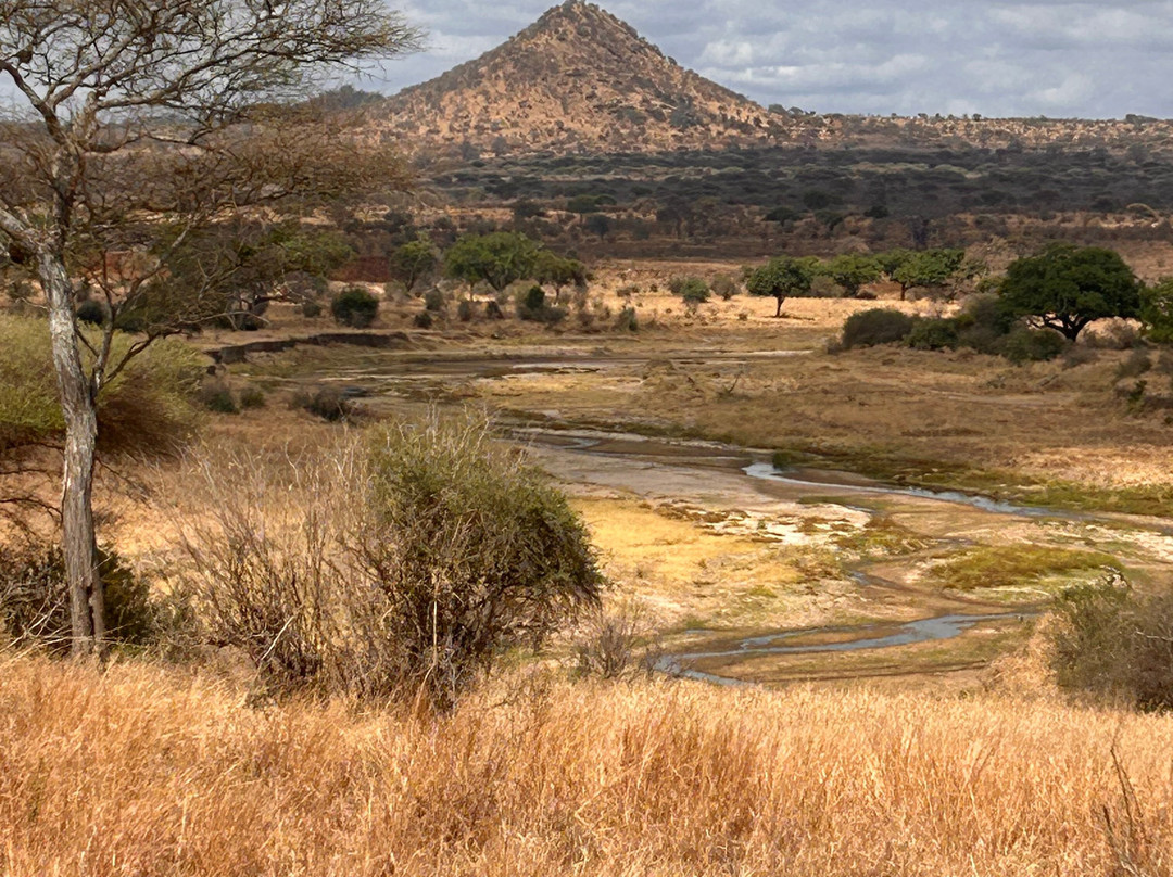 Tarangire Classic View Camp-Ikoma必去景点
