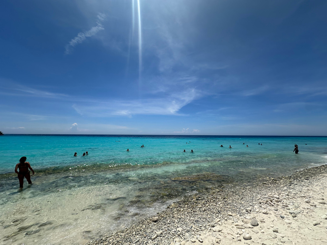 Dushi Diving-威廉斯塔德必去景点