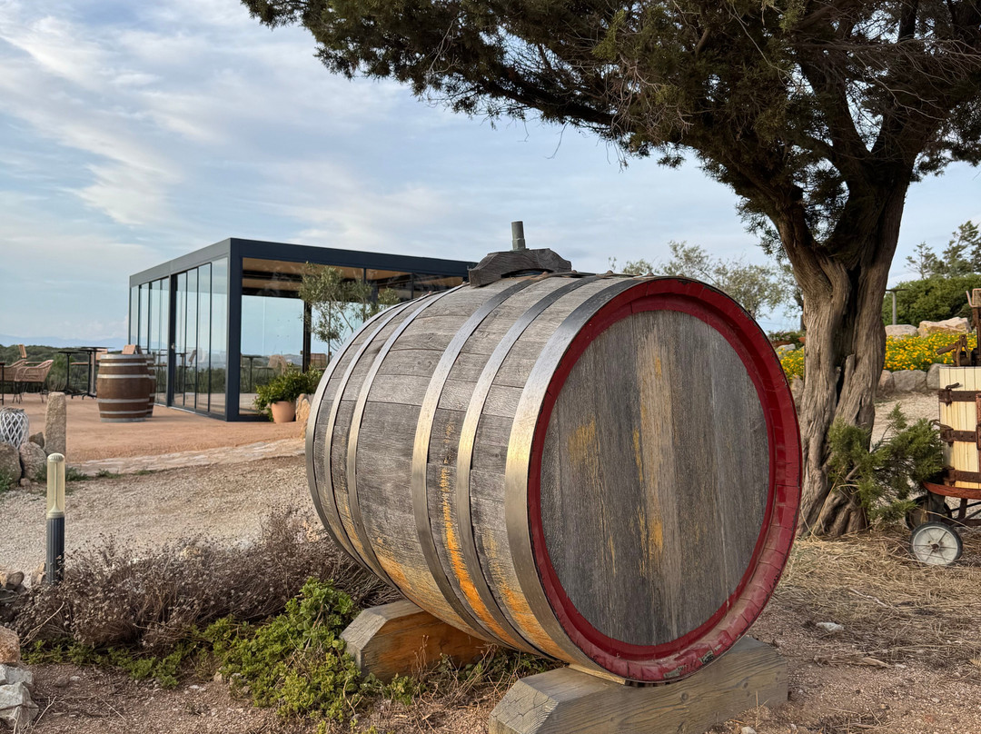 Motus Travel-萨萨里省必去景点